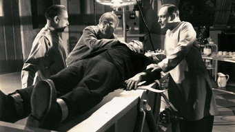 Le fantôme de Frankenstein