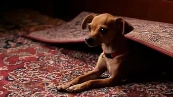 Movie poster: Ping! - 2001