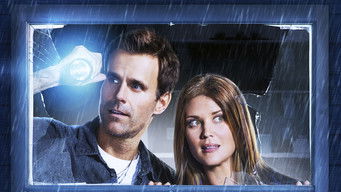 Movie poster: Along Came a Nanny - 2014