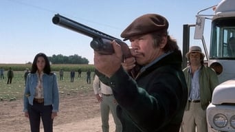 Movie poster: Mr. Majestyk - 1974