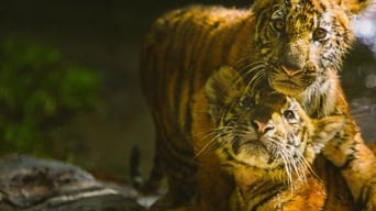 Movie poster: Two Brothers - 2004