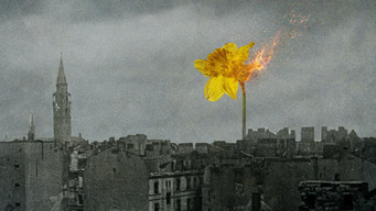 Movie poster: 33 Photos from the Ghetto - 2026