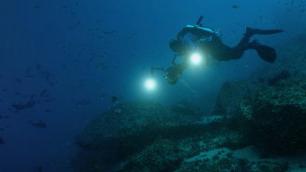 Atlantis