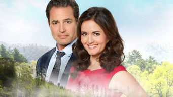 Movie poster: MatchMaker Mysteries: A Fatal Romance - 2020