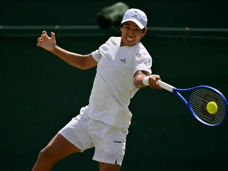 Wimbledon star orders huge McDonald's delivery to hospital after big health scare