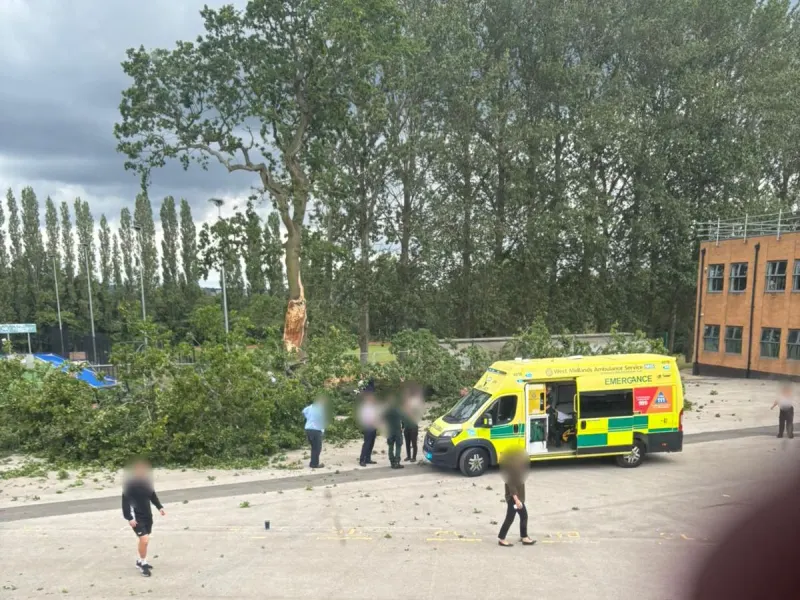 Three boys rushed to hospital as tree falls on them at Birmingham school
