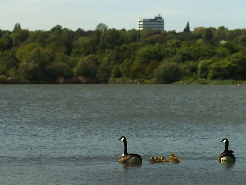 Woman dies as body pulled from pool in Sandwell Valley Country Park