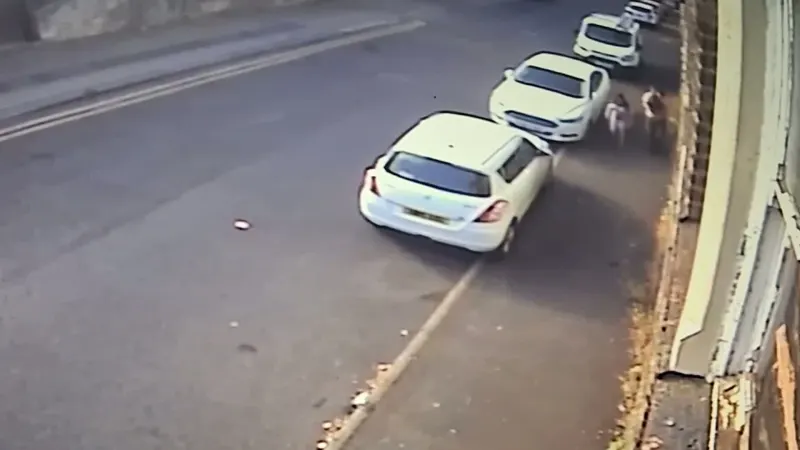 Couple avoid jail after caught on CCTV dumping dog in bin bag and throwing it in canal
