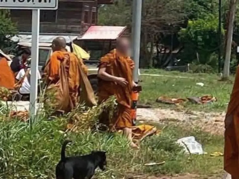 Eight monks killed and 13 injured after being hit by truck 'driven by child'