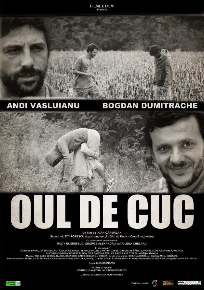 Oul de cuc